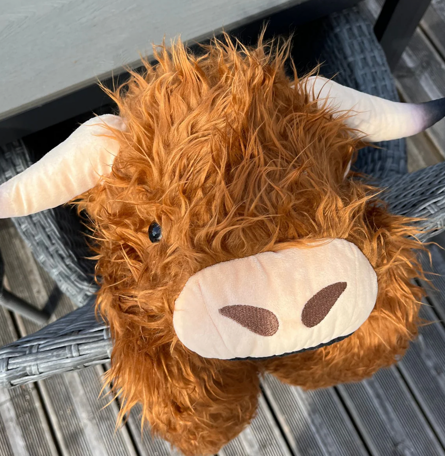 Hallie el Highland │ EDICIÓN LIMITADA PREMIUM