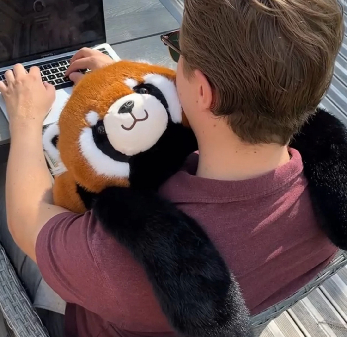 Remie el Panda Rojo │ EDICIÓN LIMITADA PREMIUM