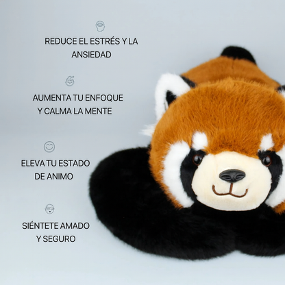 Remie el Panda Rojo │ EDICIÓN LIMITADA PREMIUM