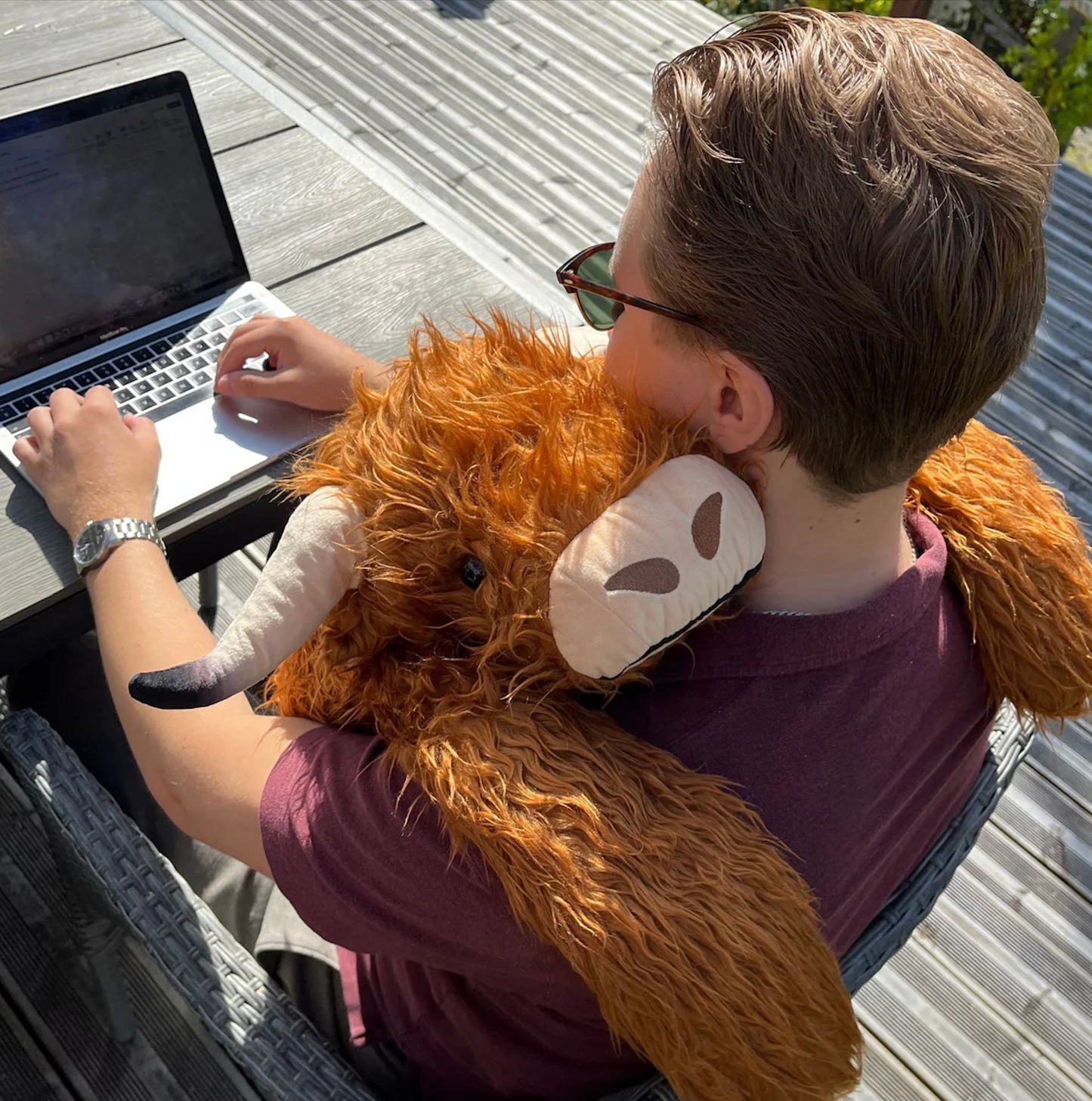 Hallie el Highland │ EDICIÓN LIMITADA PREMIUM