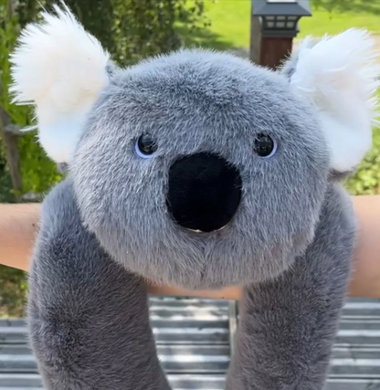 Koko el Koala │ EDICIÓN LIMITADA PREMIUM