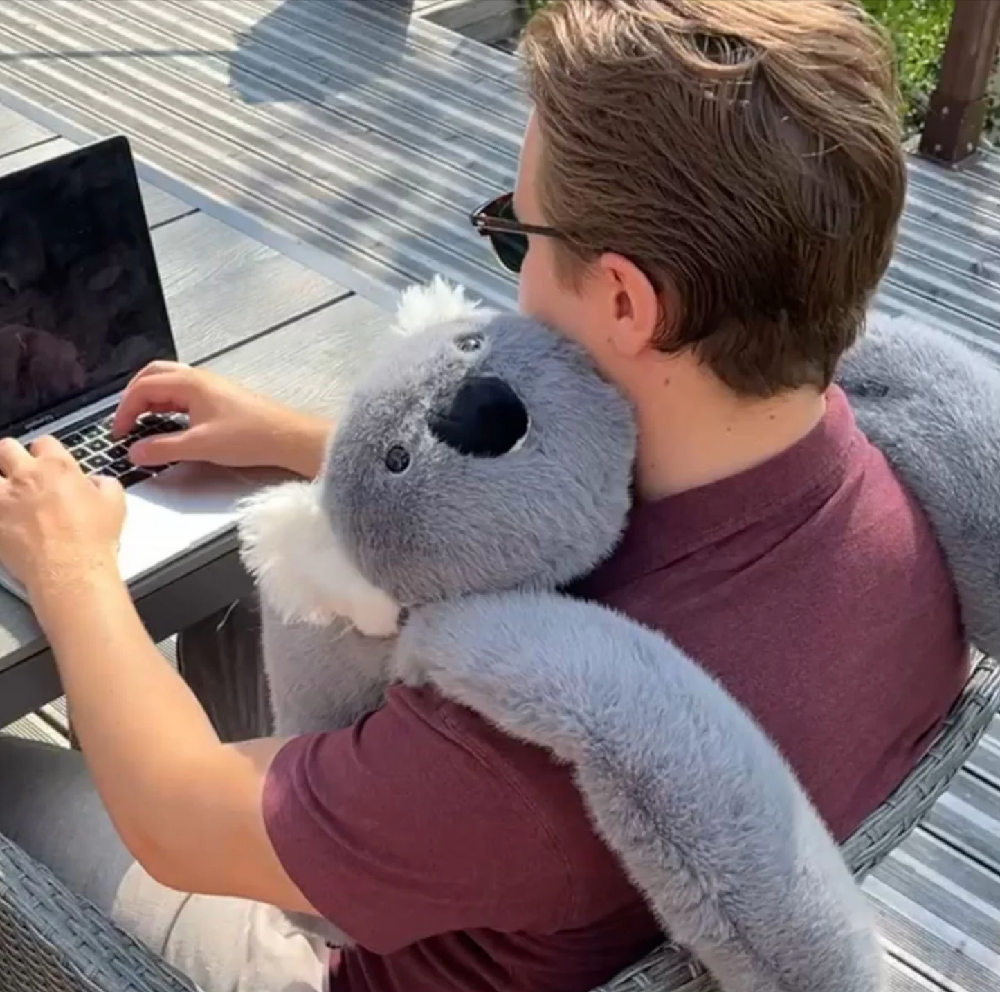 Koko el Koala │ EDICIÓN LIMITADA PREMIUM